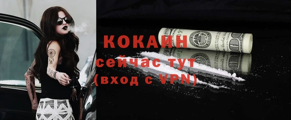 мяу мяу мука Алагир