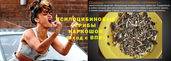 мяу мяу мука Алагир