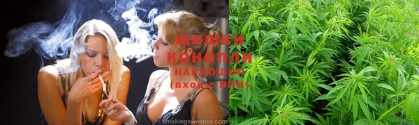 твердый Бронницы