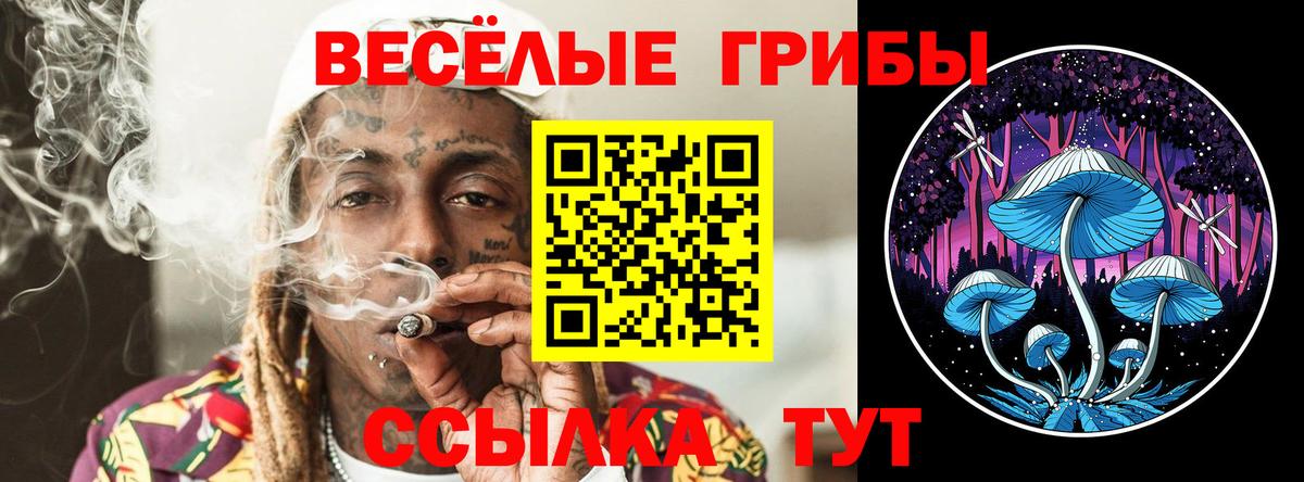 купить   Псилоцибиновые грибы мицелий  Вход с VPN  Воскресенск 